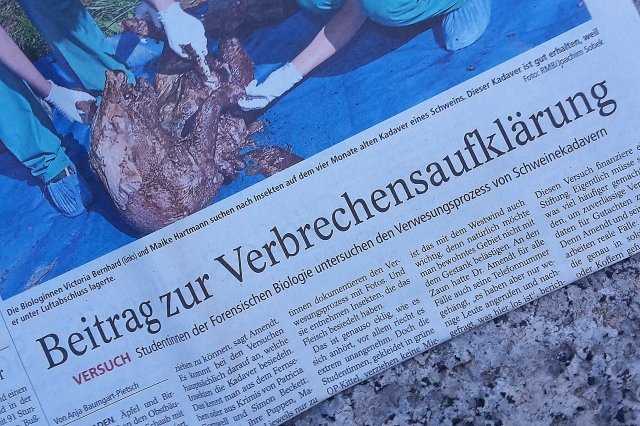 aus: Wiesbadener Kurier, 1. September 2015
